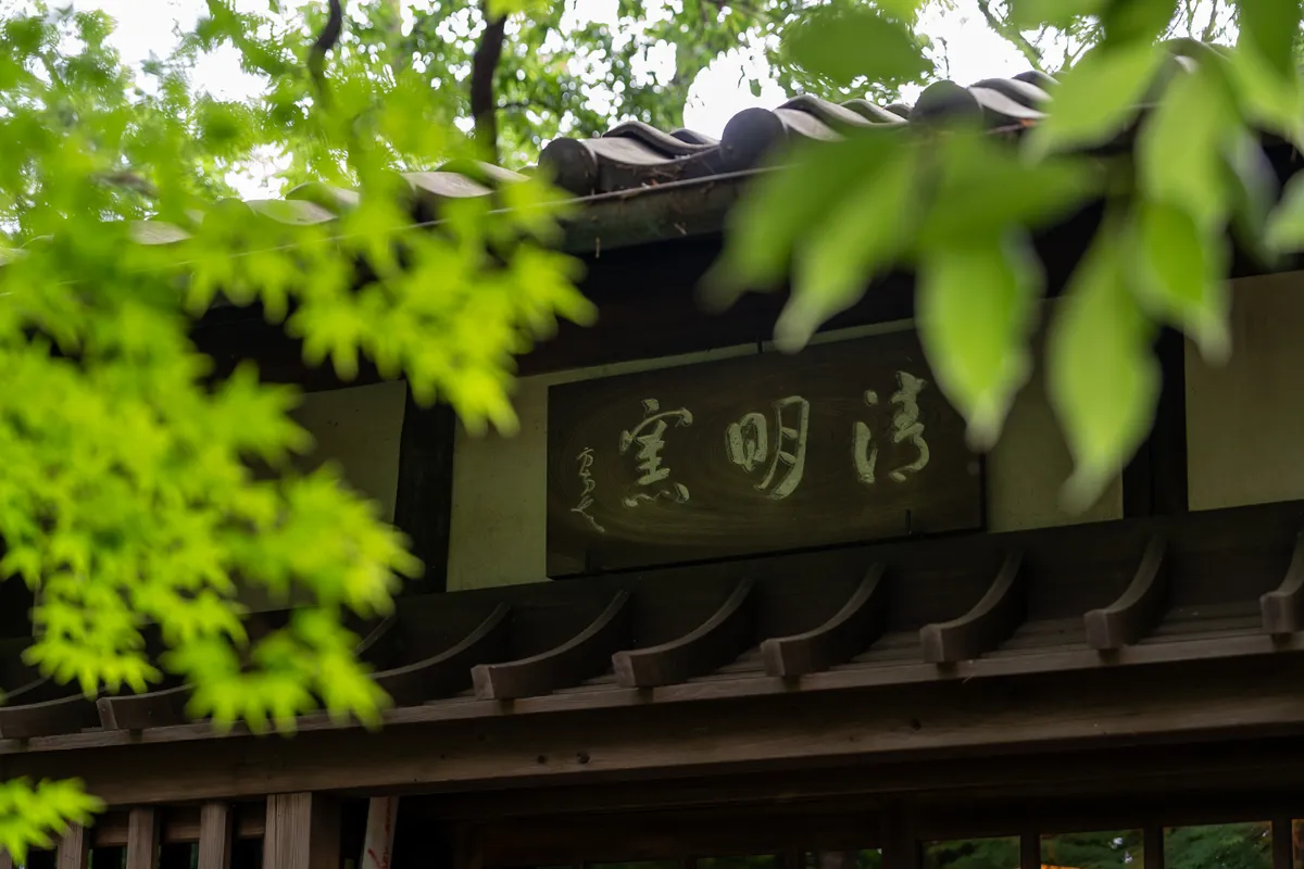 Random Project Thumbnail